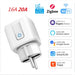 Smart Socket Tuya EU Plug Zigbee