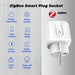 Smart Socket Tuya EU Plug Zigbee